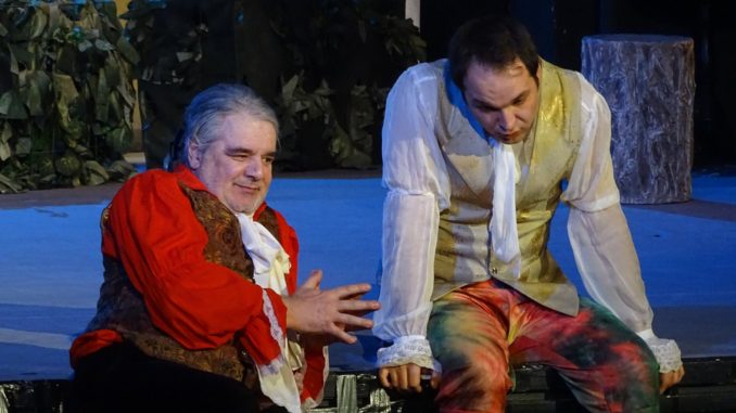 Nunta lui Figaro (8)