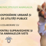 Flyer sterilizare