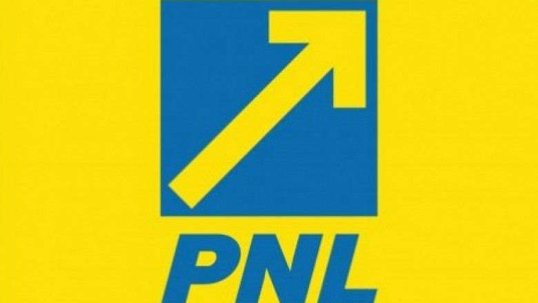 PNL sigla