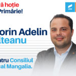 florin adelin olteanu