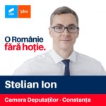 Stelian Ion