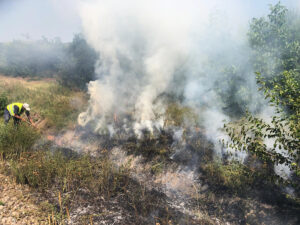 Incendiu vegetație CFR