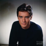 french-actor-alain-delon-bettmann