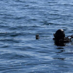 Scafandri scuba