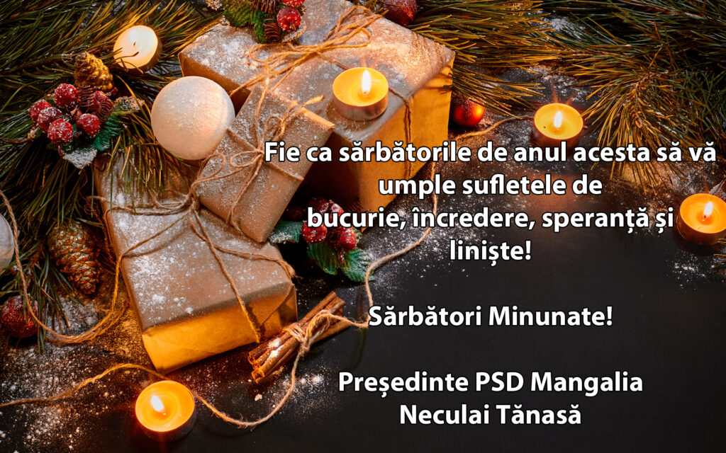 PSD_Tanasa