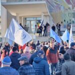 Protest Damen Mangalia