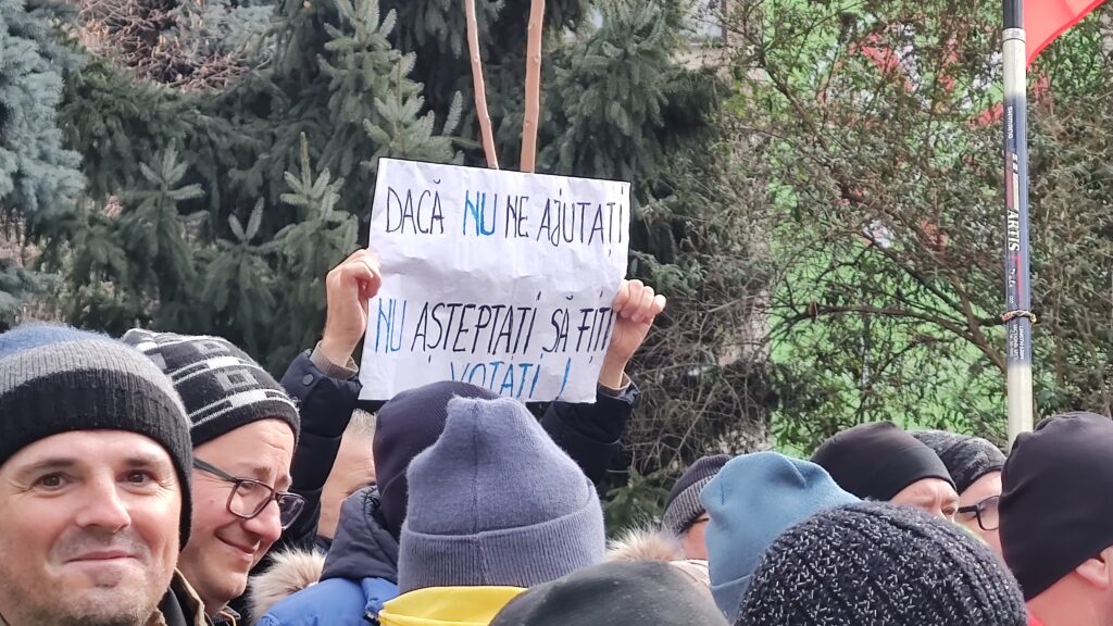 Protest Damen Mangalia