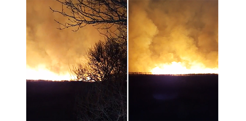 Incendiu de vegetație