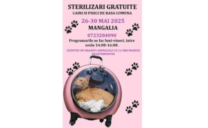 sterilizări