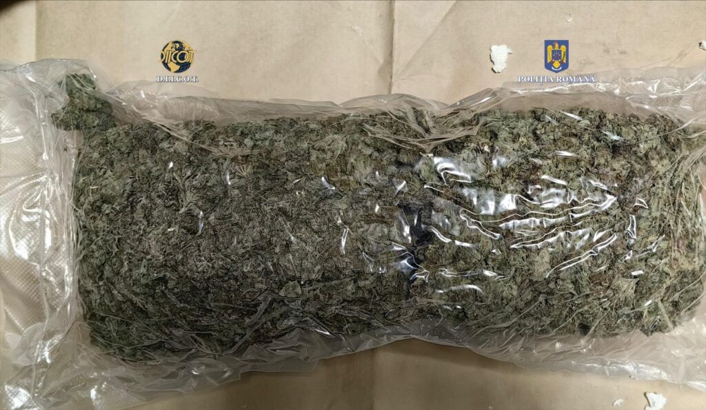 Un constănțean a fost prins cu aproape 9 kilograme de "iarbă"