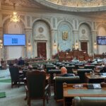 Senat