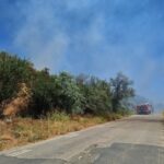 INCENDIU la ieșire din Mangalia