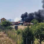 A luat FOC vegetația uscată de la Costinești