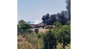 A luat FOC vegetația uscată de la Costinești