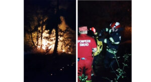 ARDE pădurea din zona Mănăstirii Cocoș
