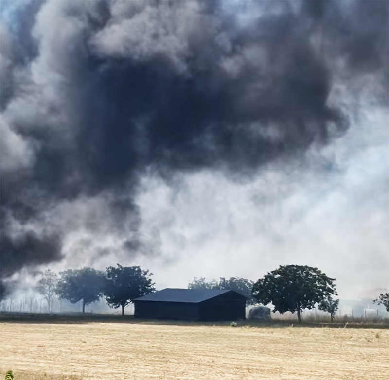 A luat FOC vegetația uscată de la Costinești