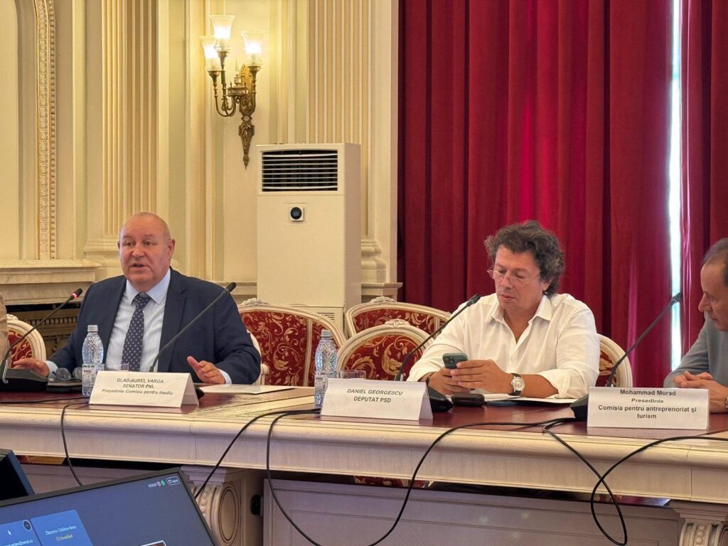 Daniel Georgescu
