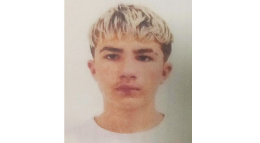 Viorel Mihai Păltineanu