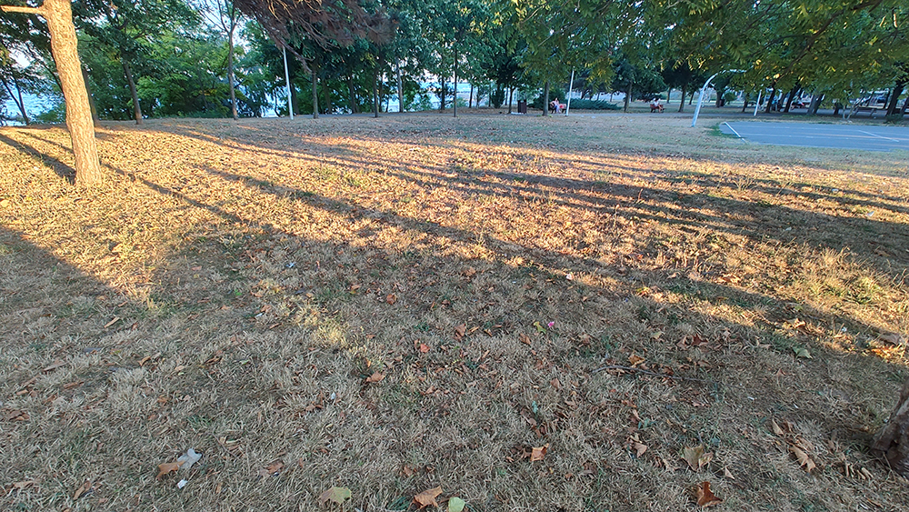 DEZASTRU în Parcul Diana din Mangalia și zona din jurul acestuia