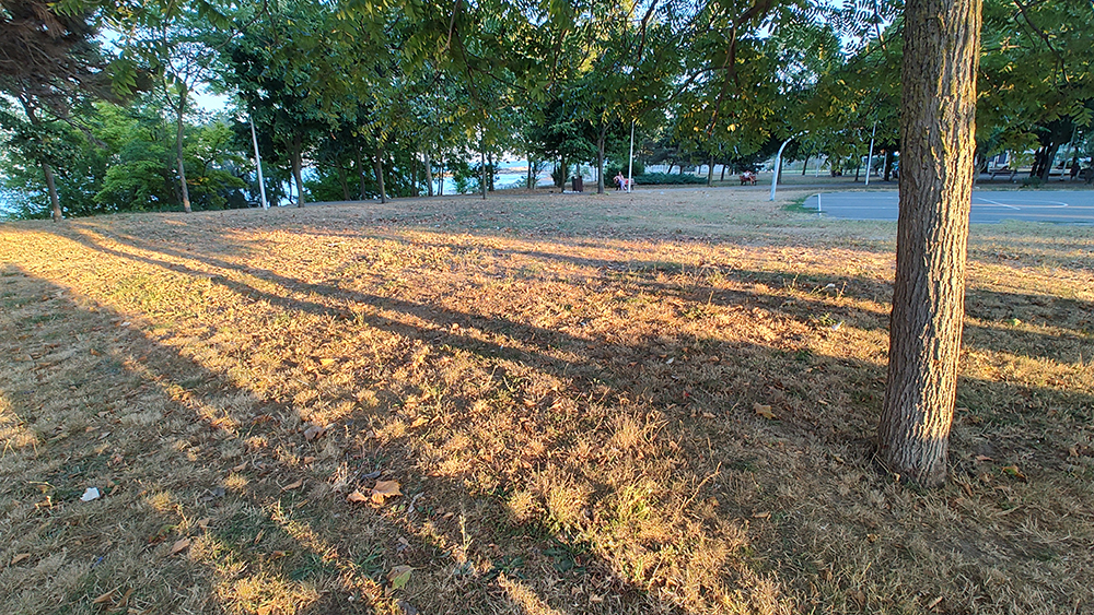DEZASTRU în Parcul Diana și zona din jurul acestuia