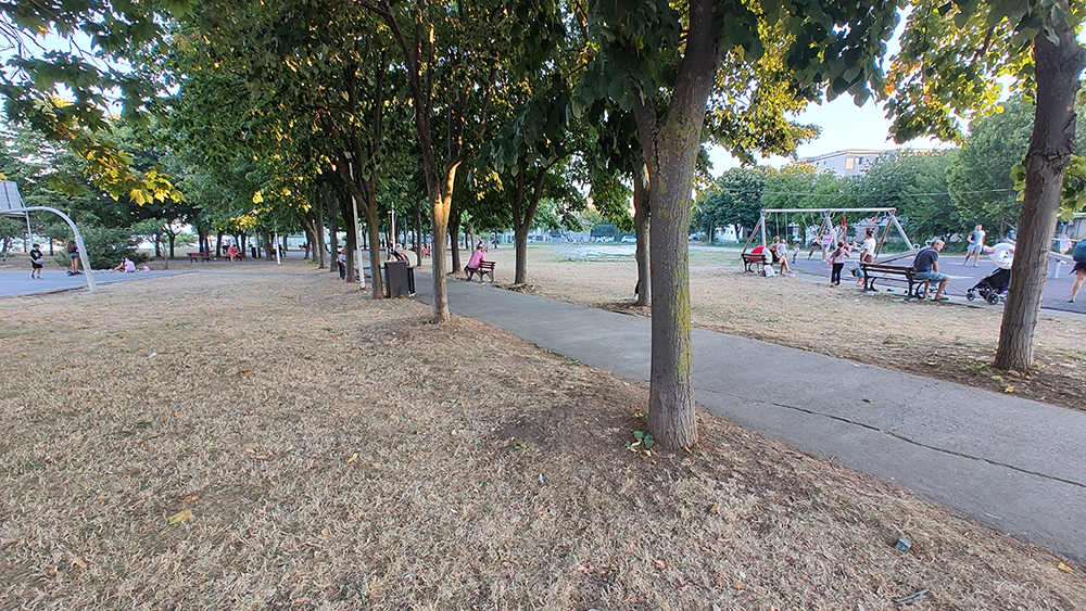 DEZASTRU în Parcul Diana și zona din jurul acestuia