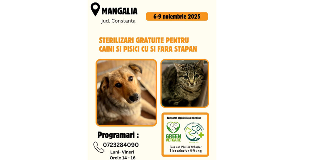 Campanie GRATUITĂ de sterilizare