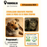 Campanie GRATUITĂ de sterilizare