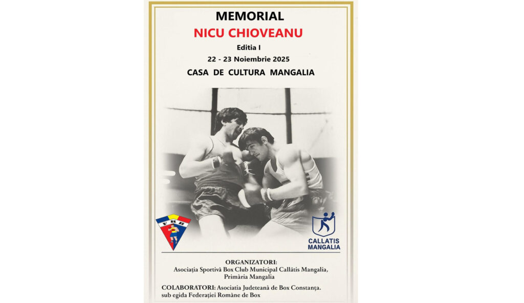 Memorialului Nicu Chioveanu