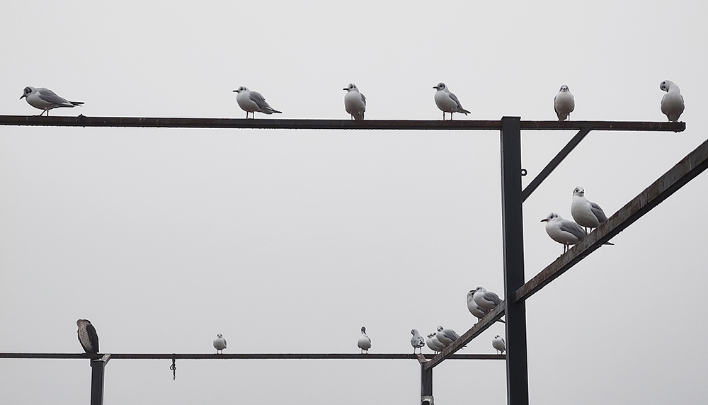Mangalia, învăluită în ceață