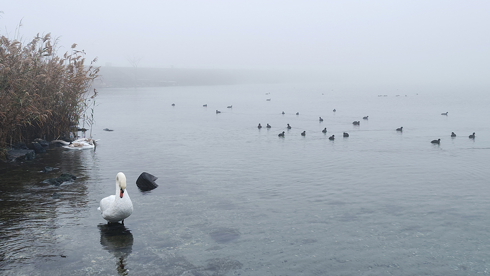 Mangalia, învăluită în ceață