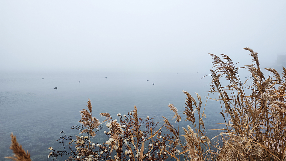 Mangalia, învăluită în ceață