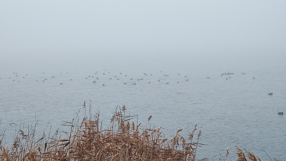 Mangalia, învăluită în ceață