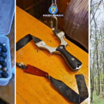 Percheziții praștie cu bile județul Constanța