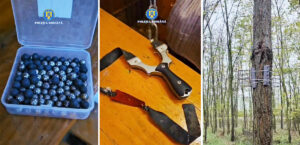 Percheziții praștie cu bile județul Constanța