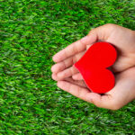 AJUTOR pentru Matei Costin Horneț