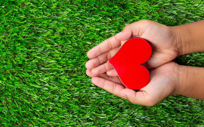 AJUTOR pentru Matei Costin Horneț