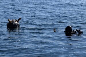 Dronă, scafandri militari