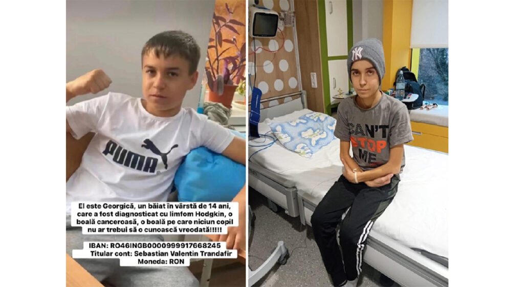 Georgica din Ion Corvin