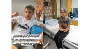 Georgica din Ion Corvin