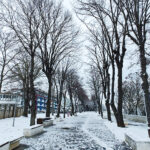 Portul Turistic și centrul Mangaliei, după prima zăpadă din acest an