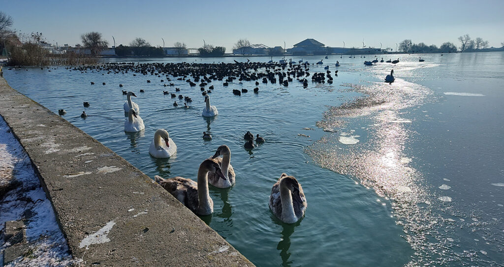 Lacurile din Neptun au înghețat