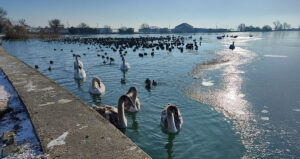 Lacurile din Neptun au înghețat