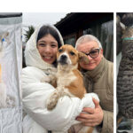 Sterilizări Pecineaga