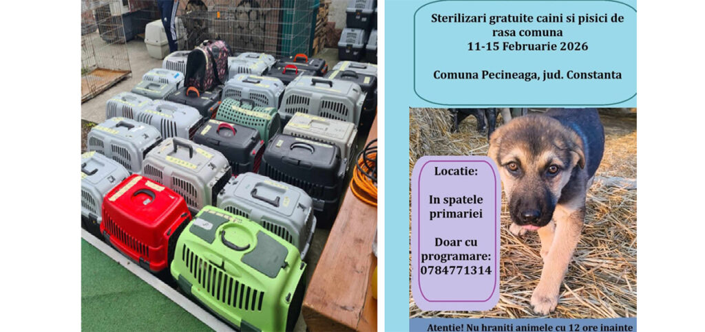 Sterilizari Pecineaga