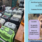 Sterilizari Pecineaga