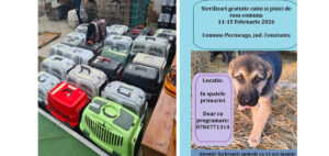 Sterilizari Pecineaga