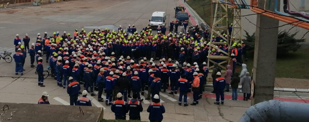 Protest Damen Mangalia