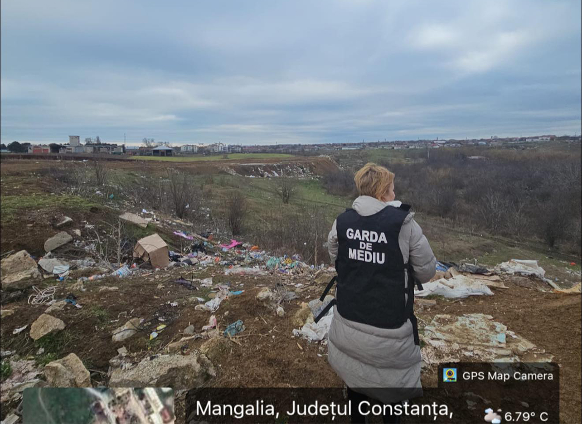 Garda de Mediu, amenda Mangalia