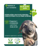 Campanie de sterliz[ri Mangalia