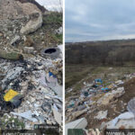 Garda de Mediu, amenda Mangalia